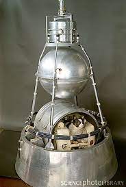 From wikimedia commons, the free media repository. 60 Years Ago The First Animal In Orbit Nasa