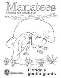 Color mama manatee and her calf as they feed on the plants in their underwater world. Untitled