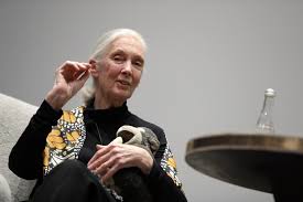 In 1975 he read about a small technology company. Jane Goodall Young People Shouldn T Look To Be The Next Bill Gates