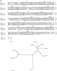 Ravi thadhani, a professor at massachusetts general hospital, et al. Identification Of A Novel Gene Family Encoding Human Liver Specific Organic Anion Transporter Lst 1 Journal Of Biological Chemistry