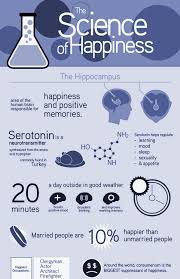 Visually On Twitter Science Of Happiness Brain Facts Mental And Emotional Health