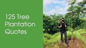 It differs from the transplantation of larger trees in arboriculture. 125 Tree Plantation Quotes Ultimate List