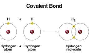 Maybe you would like to learn more about one of these? What Are The Types Of Covalent Bonds Science Online