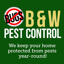 Yellow pages » fl » pensacola » pest control. 25 Best Pest Control Service Near Pensacola Florida Facebook Last Updated Mar 2021