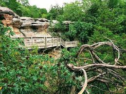 Jun 13, 2017 · 8 amazing natural wonders hiding in plain sight in south carolina — no hiking required. Visiting Garden Of The Gods More In Southern Illinois No Home Just Roam