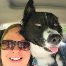 Cynthia Hull (@cynsationalresources) • Instagram photos and videos