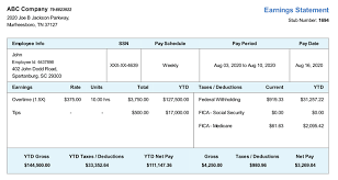 This makes it easier for you to pick a template of your choice, fill in the details and get ahead with your day. Free Online Paystub Generator Generate Pay Stubs Instantly