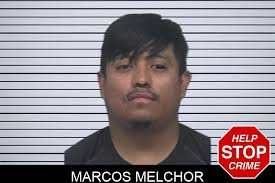 Marcos Melchor : https://thegeorgiagazette.news/gwinnett-county/ marcos-melchor-2/