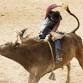PBR Challenger Series - Wednesday - South Point Hotel Casino & Spa, 9777 S Las Vegas Blvd Event Image