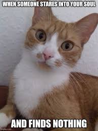 The best memes from instagram, facebook, vine, and twitter about saturday. Caturday Memes Gifs Imgflip