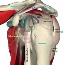 Maybe you would like to learn more about one of these? Rotator Cuff Syndrome Physio Works
