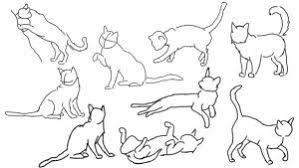 Wolf Laying Down Drawing Google Search Animal Drawings Dog Illustration Art Drawings