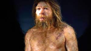 All'inizio si pensò fossero le ossa di un antico orso delle caverne, ma un naturalista locale le definì umane. La Fine Dell Uomo Di Neanderthal La Stampa