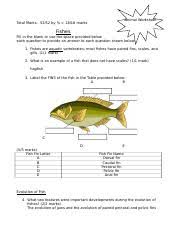 We did not find results for: The Main Pumping Chamber In A Fish Heart Is The Urinary Bladder Ventricle Name Course Hero