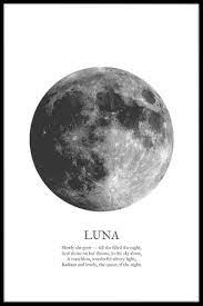 Кристи́на ви́кторовна гера́симова (в замужестве бардаш; Luna White Posters Online Artiksdesign De
