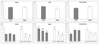 Eat these 10 foods to get enough vitamin e every day. Cells Free Full Text Meniscus Matrix Remodeling In Response To Compressive Forces In Dogs Html