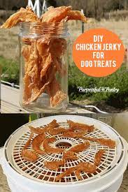 Dehydrated Chicken Jerky Treats For Dogs Dog Treats Homemade Recipes Chicken Jerky Easy Dog Treats