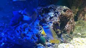 Polygone beziers is located in beziers. B Aqua