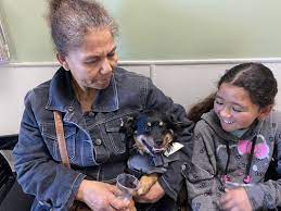 Services for dogs, cats, reptiles, birds, rabbits and all other exotic pets. Balboa Veterinary Hospital 114 Photos 217 Reviews Veterinarians 7931 Balboa Ave San Diego Ca United States Phone Number Yelp