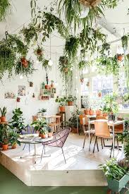 How To Hang Plants From The Ceiling Interiordesign Homedecor Potplants Plants Indoor Garden Hanging Plants