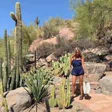 This saguaro cactus has a large hole that serves as a home for animals and birds. Where To See Saguaro Cactus In Phoenix Hiking Spots Hotels And Attractions