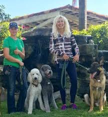 Our coding boot camp in los angeles is being held online. L A School For Dogs Real Dogs Real Training Real Results