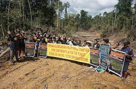 The research focused on oil palm plantation disputes involving indigenous peoples' claims to customary land and forests in pareh and semunying bongkang hamlets of semunying jaya village border in sarawak, malaysia to support their families. Indigenous Territories In Sarawak Malaysian Borneo Threatened By Monoculture Plantations Wrm In English