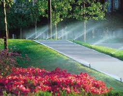 Our skill technician takes the time to go over each element and function of your sprinkler system. Irrigation Frisco Gunter Lawns Sprinklers Outdoor Living Specialists North Texas Weisz Selection
