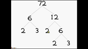 Math Prime Factorization What Is A Factor Tree English