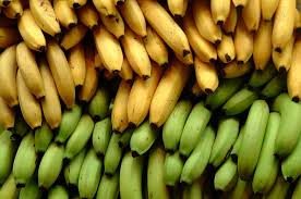 Ripe Vs Unripe Bananas Which Are Better For You One