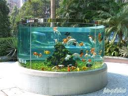 Aquarium Buiten Vijvers Vijvers Aquarium