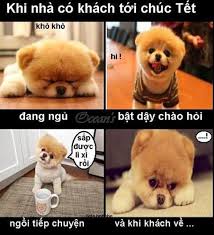 Káº¿t quáº£ hÃ¬nh áº£nh cho hÃ i cháº¿