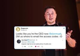 A subreddit for sharing, discussing, hoarding and wow'ing about dogecoins. Musk Gets Jokingly Voted As Dogecoin Ceo Replies With Dog Meme