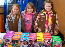 Girl Scout Brownies | Girl Scout Cookies Wiki | Fandom