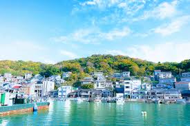 Image result for Sehima