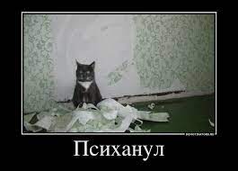 Псих анул demotivators.ru / смешные демотиваторы (ДЕЙСТВИТЕЛЬНО СМЕШНЫЕ  новые лучшие демотиваторы со смыслом 2011, demotivators смешно,  демотивация, демативаторы, димативаторы ) :: котэ (прикольные картинки с  кошками) / смешные картинки и другие приколы: