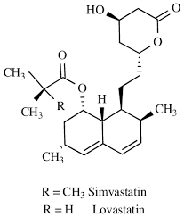 We did not find results for: Simvastatin And Lovastatin Chemical Structures Download Scientific Diagram