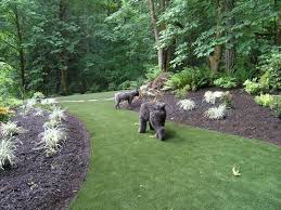 Wooded backyard backyard forest landscape ideas. Front Yard Landscaping For Wooded Lots Backyard Turf And Landscape Wooded Backyard Landscape Hardscape Backyard Backyard Turf