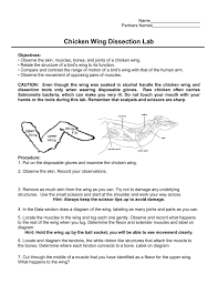 Left hand tendons diagrams are actually applied because historic occasions, but grew to. Chicken Wing Dissection Lab