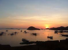 We did not find results for: 14 Labuan Bajo Ideas Labuan Komodo Komodo Island