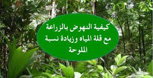 كيفية النهوض بألقطاع الزراعي في العراق مع قلة المياه وزيادة نسبة ملوحتها محمد توفيق علاوي