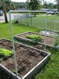 Space them about 10 apart. Garden Trellis Diy Garden Trellis Diy Garden Projects Garden Trellis