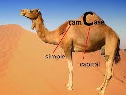 While the term camel case is often used more broadly, for the purpose of this question camel case refers to the method of naming variables/parameters/etc. Camel Case And Pascal Case Flavour Of Computer Science