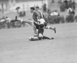 schell stock photos, images, pictures