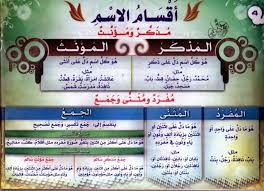 ملخص قواعد اللغة العربية للمبتدئين Pdf ملزمتي