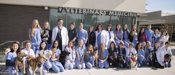 The following small animal clinic appointments are received at reception b: Give Uc Davis School Of Veterinary Medicine