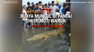 We did not find results for: Berita Terbaru Buaya Muara Tempo Co