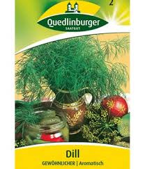 Am besten lassen sich die frischen dillblätter nach der ernte im tiefkühler aufbewahren. Dill Richtig Pflanzen Einfrieren Und Ernten Baldur Garten