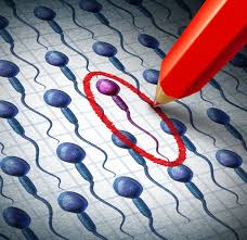 Pin En Ciencia