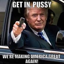 Image result for trump patriot meme